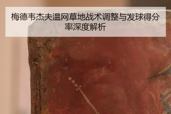 mei-de-wei-jie-fu-wen-wang-cao-di-zhan-shu-tiao-zheng-yu-fa-qiu-de-fen-lv-shen-du-jie-xi-3-966.jpg