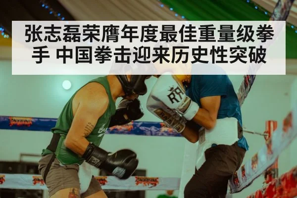 张志磊荣膺年度最佳重量级拳手 中国拳击迎来历史性突破